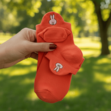 Meias Animais Fofos Bordadas - 10 pares [FRETE GRÁTIS]