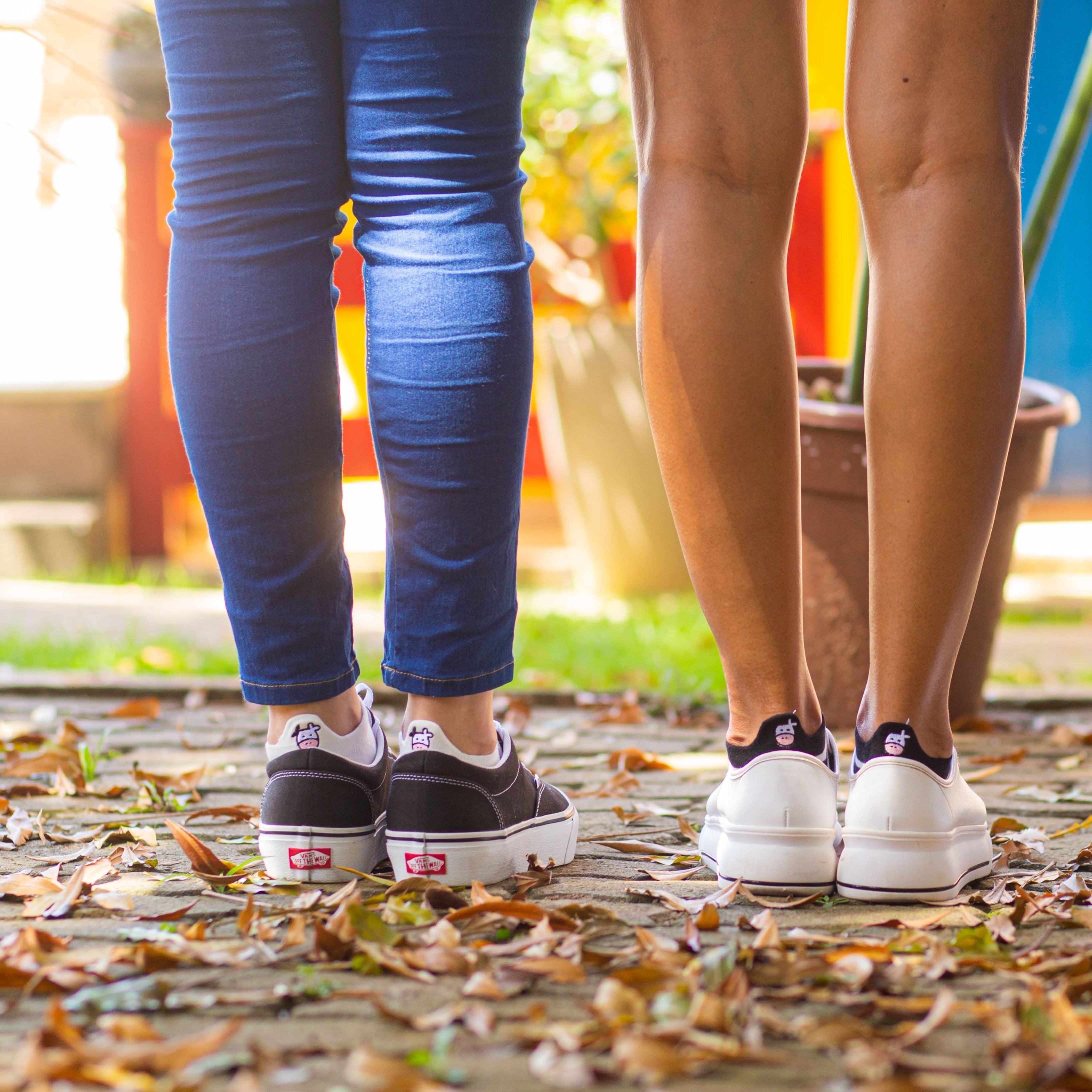 Meias Vaquinha Bordadas- 5 pares [FRETE GRÁTIS]