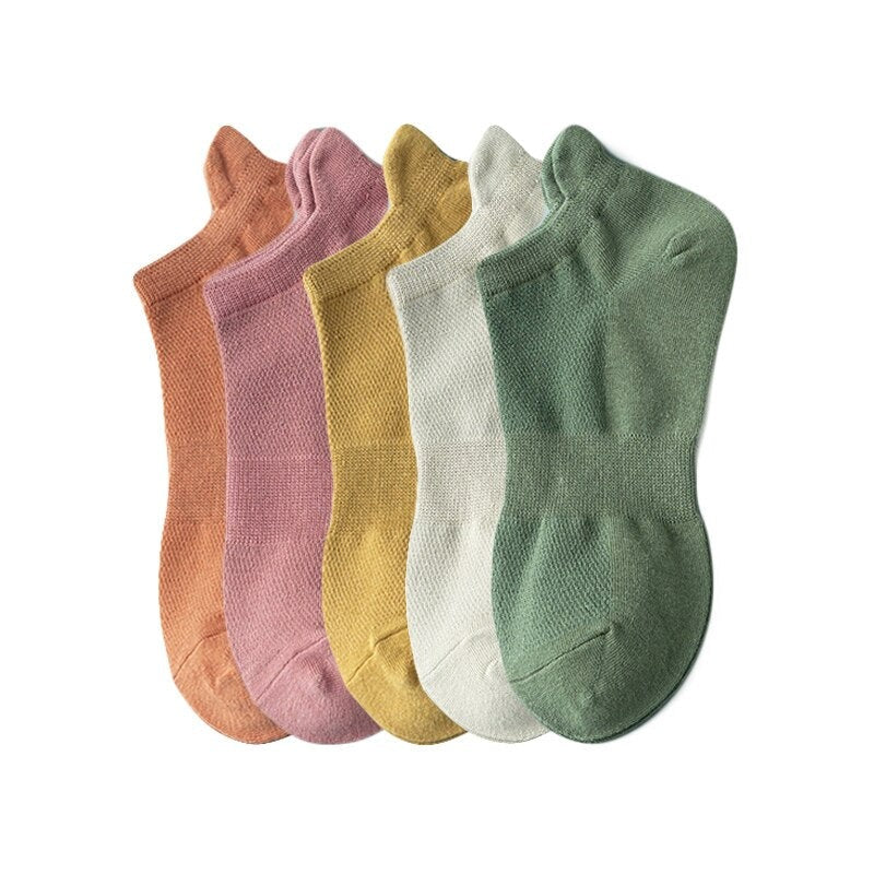 Meias Básicas - 5 pares [FRETE GRÁTIS]